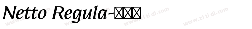 Netto Regula字体转换